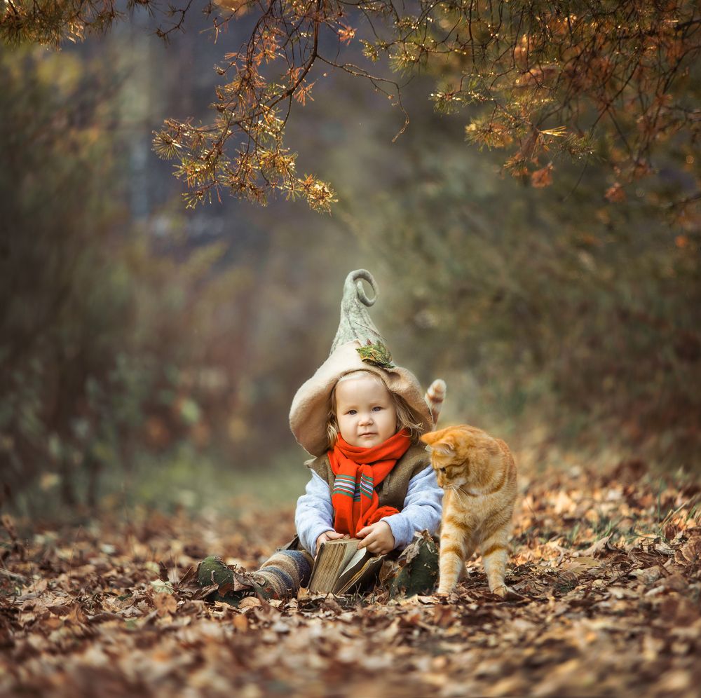 Гномик в лесу