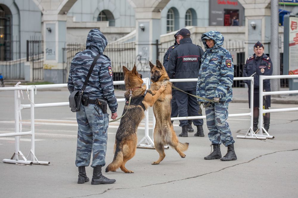 Сослуживцы...