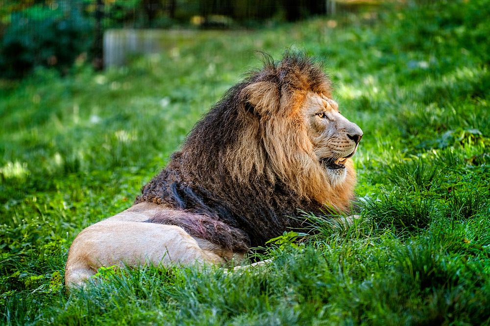 Фотография автора Valeria Akerlund