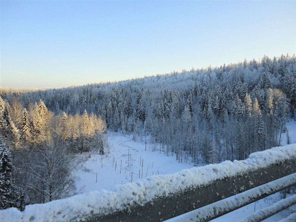 On snow-covered slopes