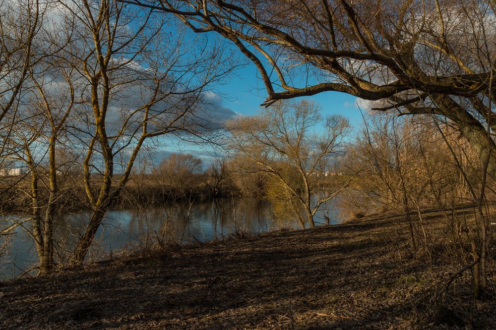 Photograph by Роман Дергунов