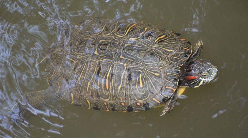 Photograph by Naim Iseni