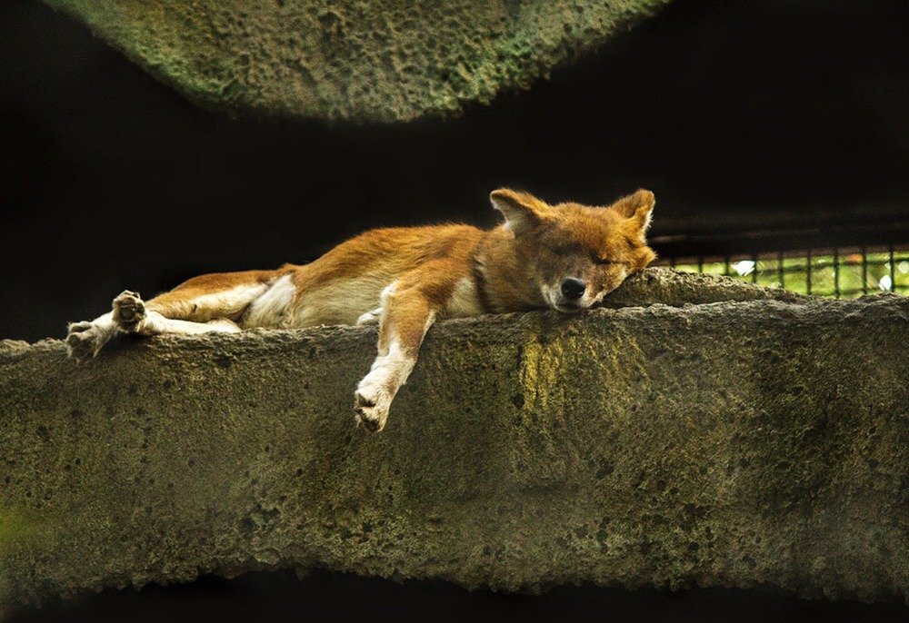 having a rest(Отдыхая)