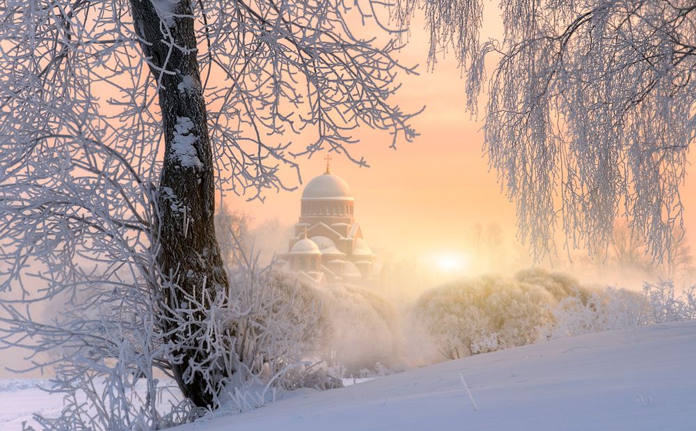 морозное утро в Муринском парке...