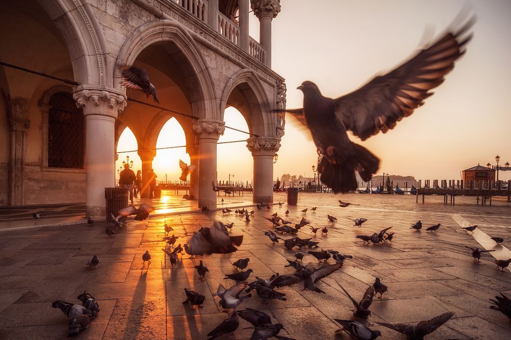 Sunrise in Venice