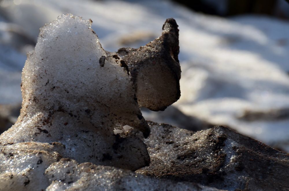 Конец ледникового периода