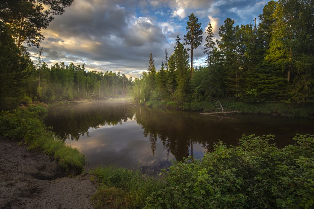 После дождя