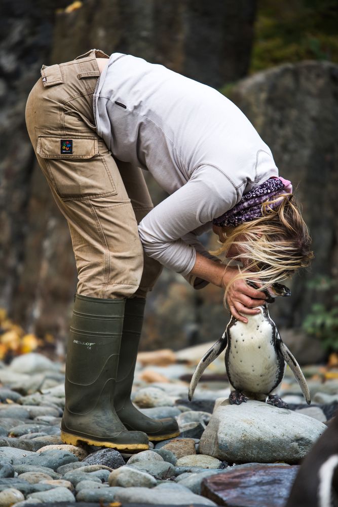 Забота, Любовь, работа