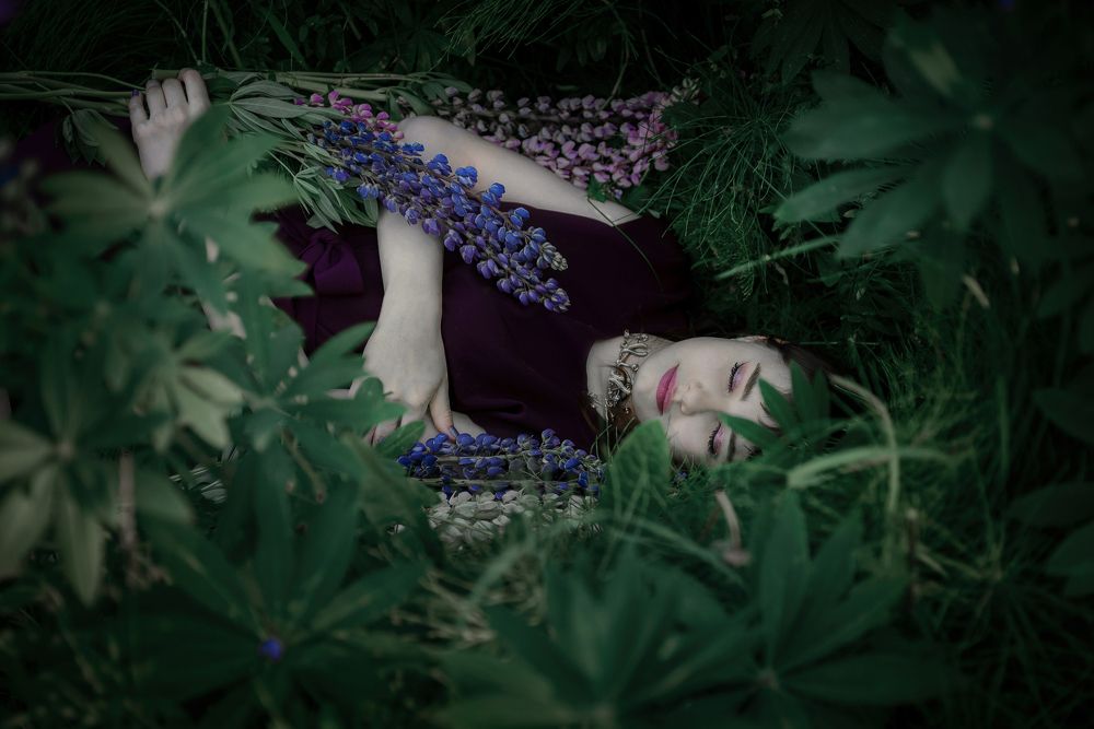 Сон в люпинах