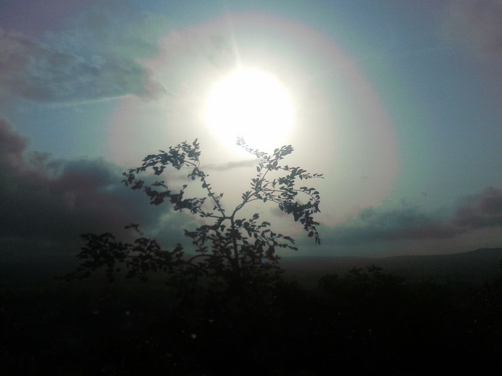 Photograph by NIRANJAN WADEKAR