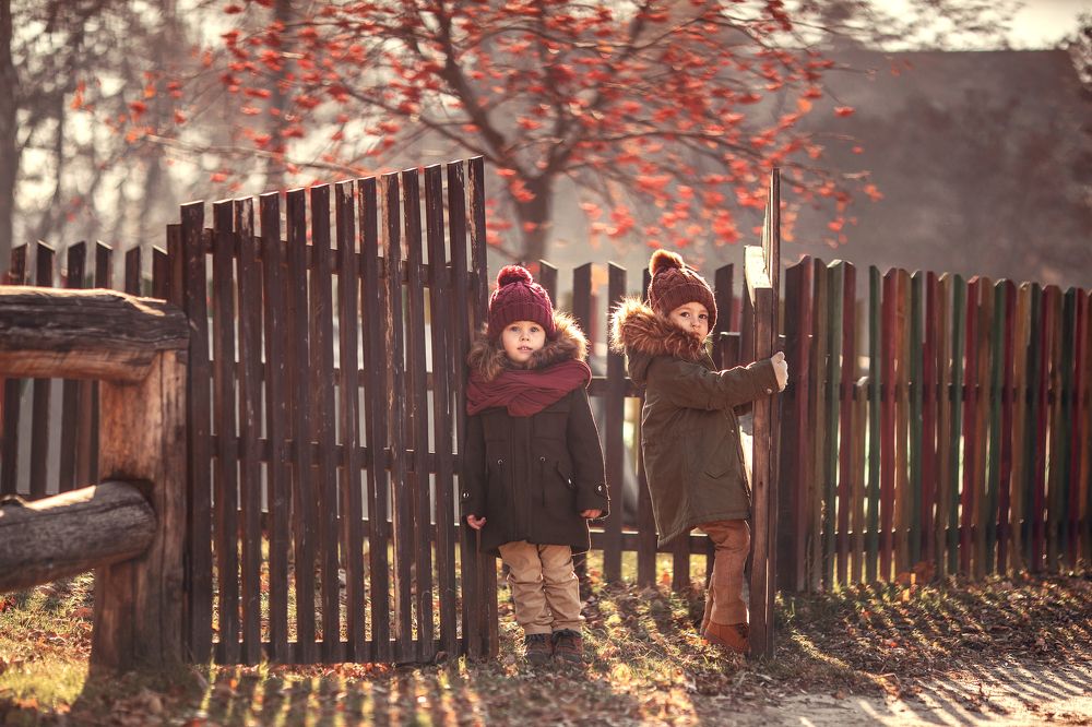 шоколадный ноябрь