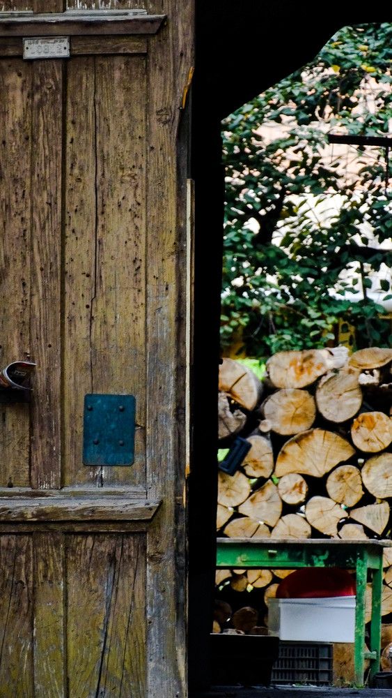 Photograph by Evelin Demko