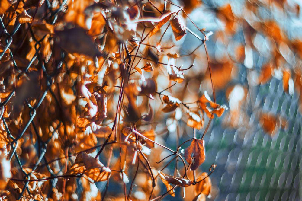 солнечное утро