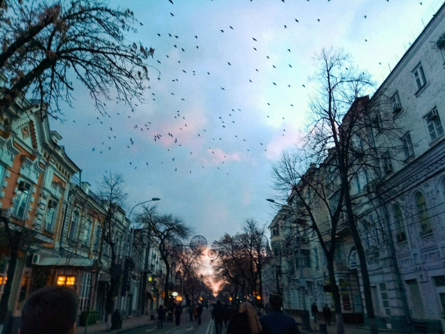 Photo #3064814