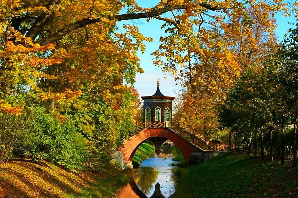 Золотая пора ...