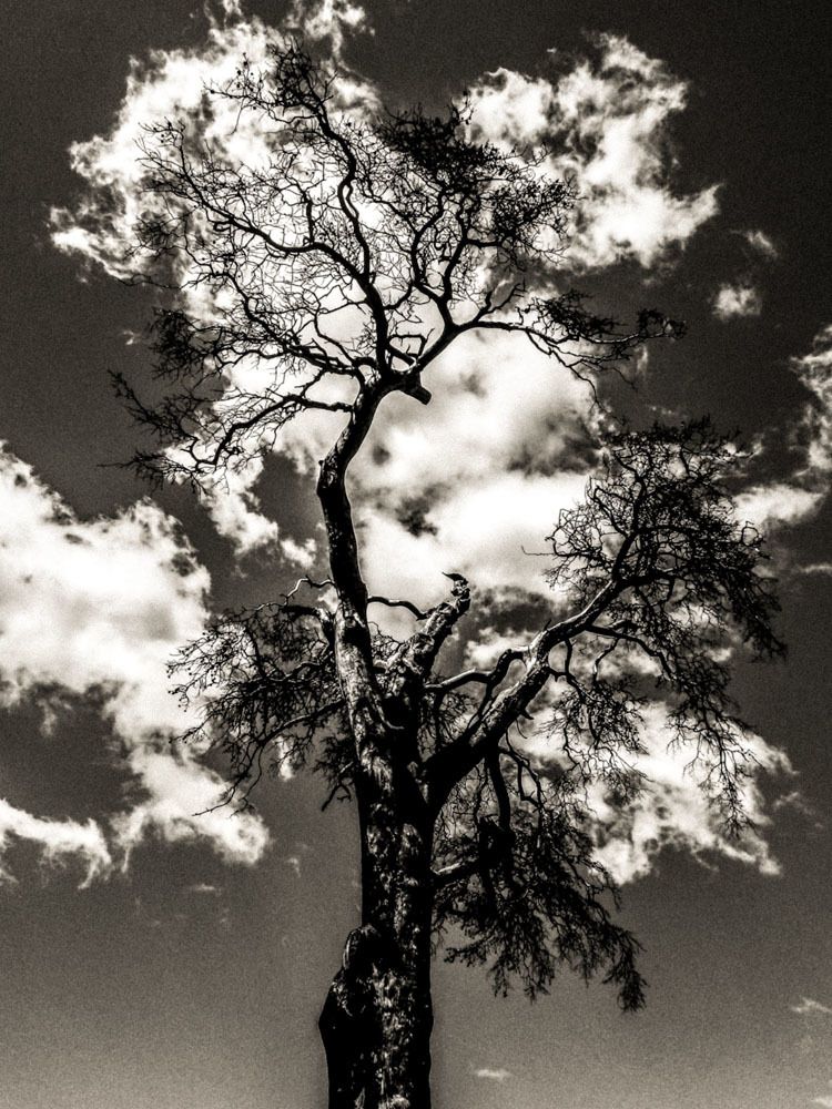 Одиночество