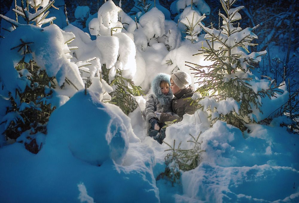 В поисках елки