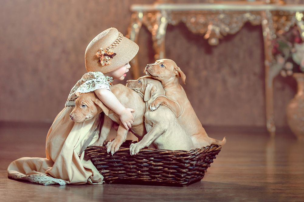 Photograph by Денисова Анжелика