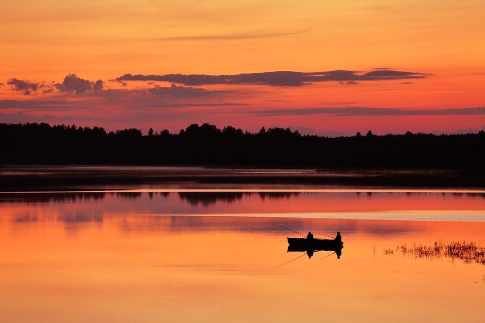 Вечерний клев