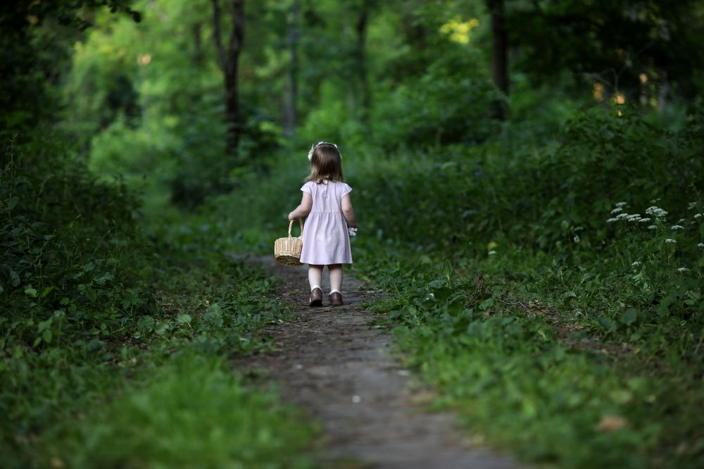 Дремучий лес