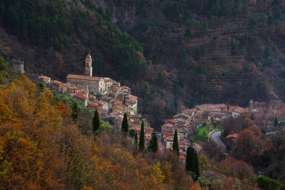 Photograph by Николай Пузанкевич