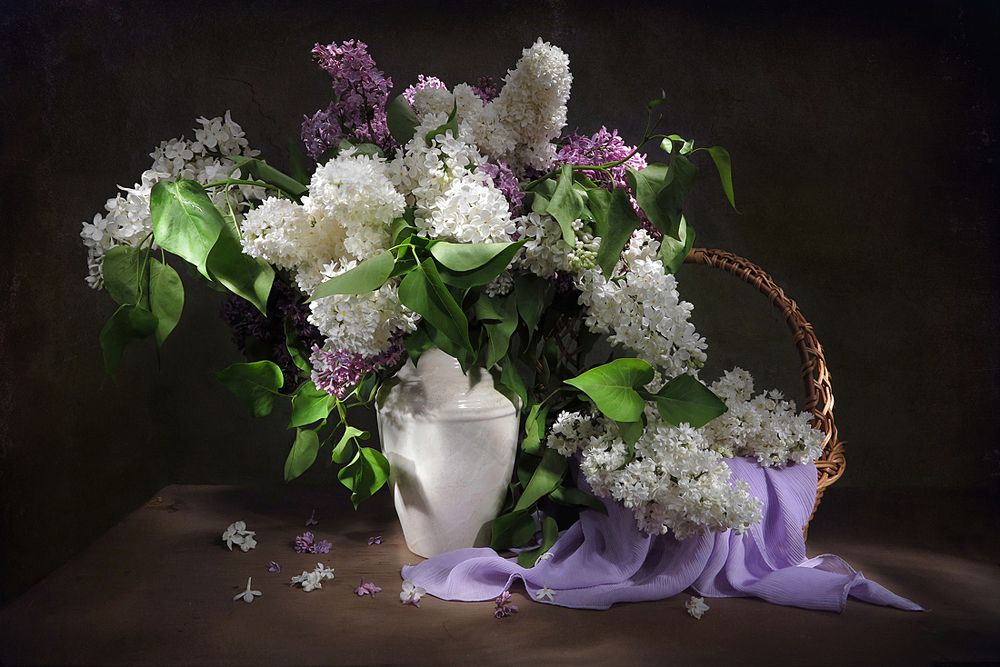 Букет сирени