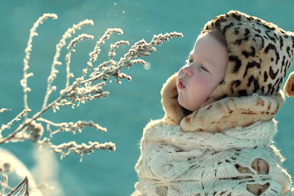 Фотография автора Мария Хан