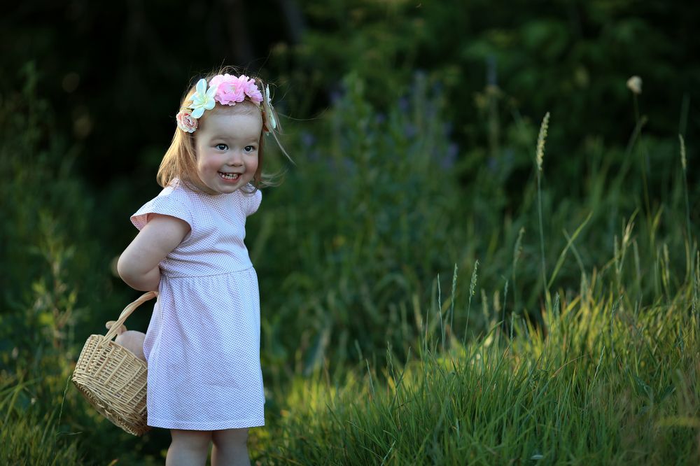 Нам не страшен серый волк)