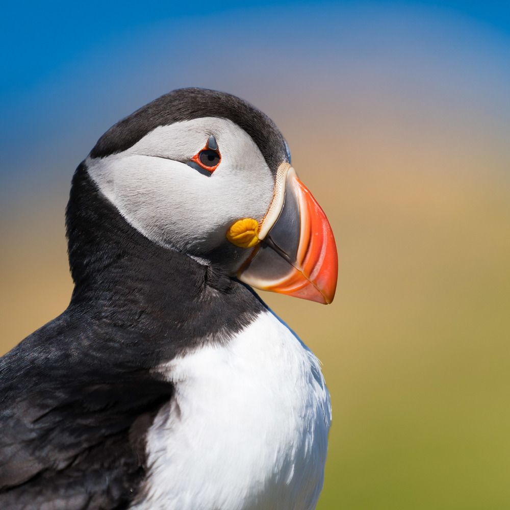 Из жизни тупиков