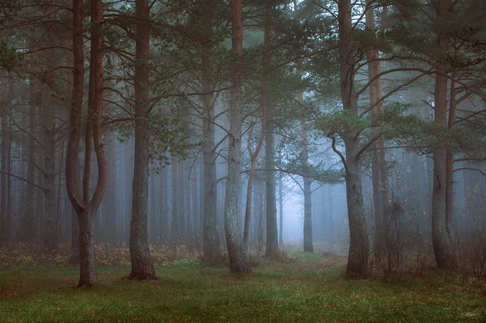 Photograph by Евгений Луцко