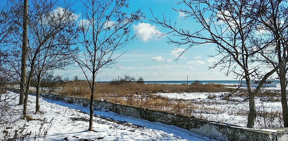 без названия