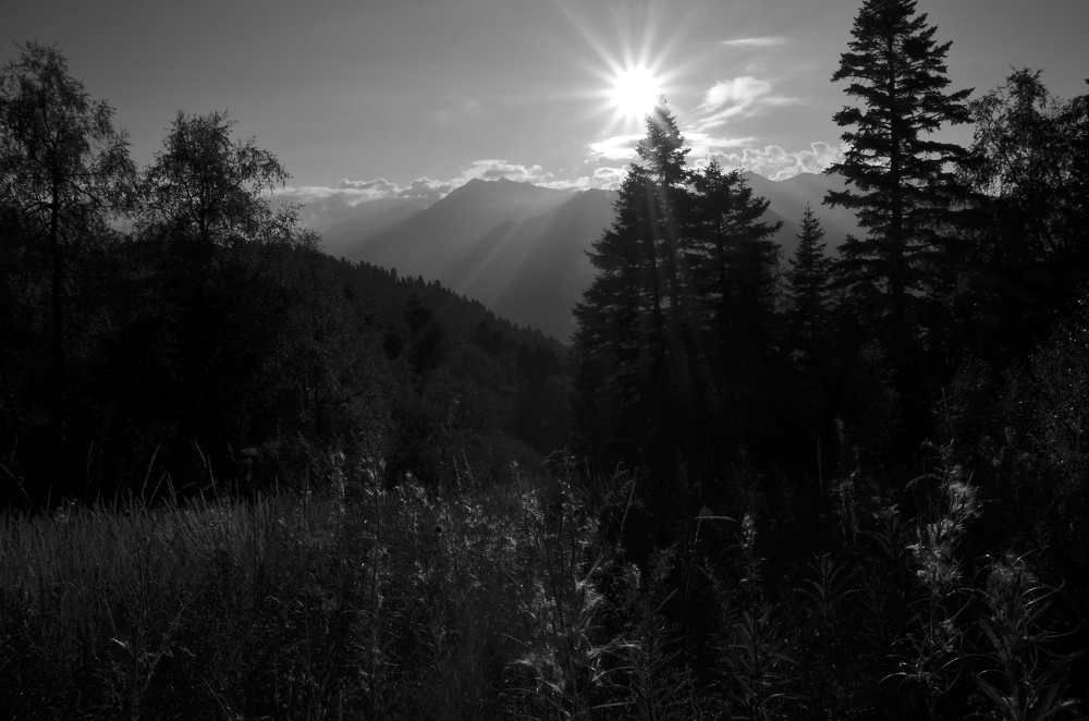 Вдали от суеты