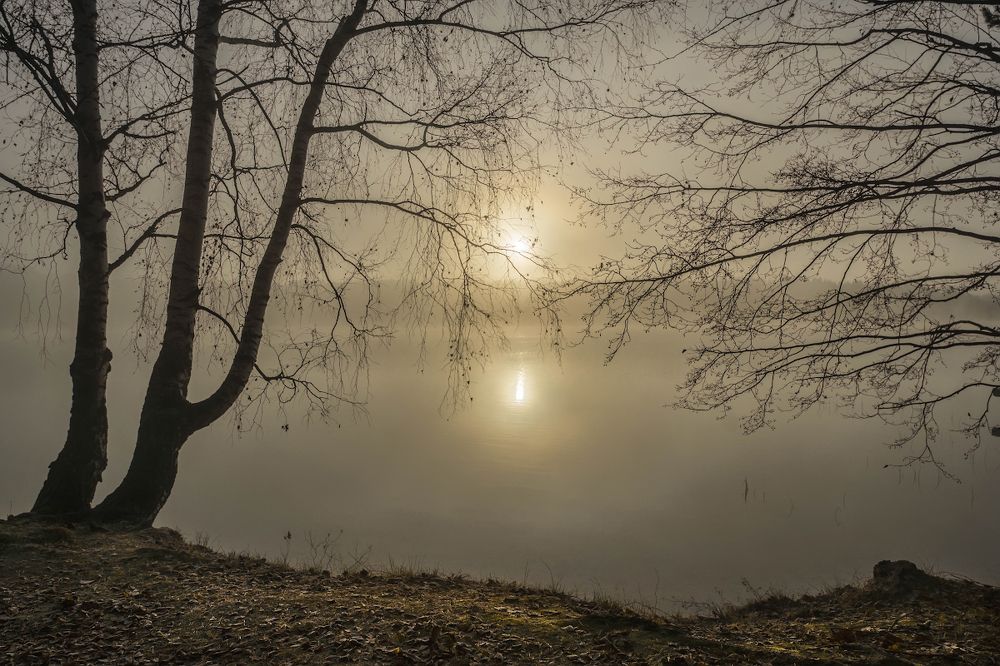 Photograph by Валерий Анисимов