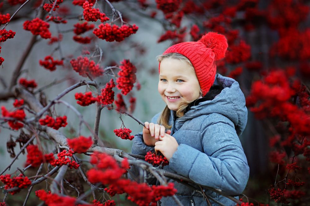 красная рябина