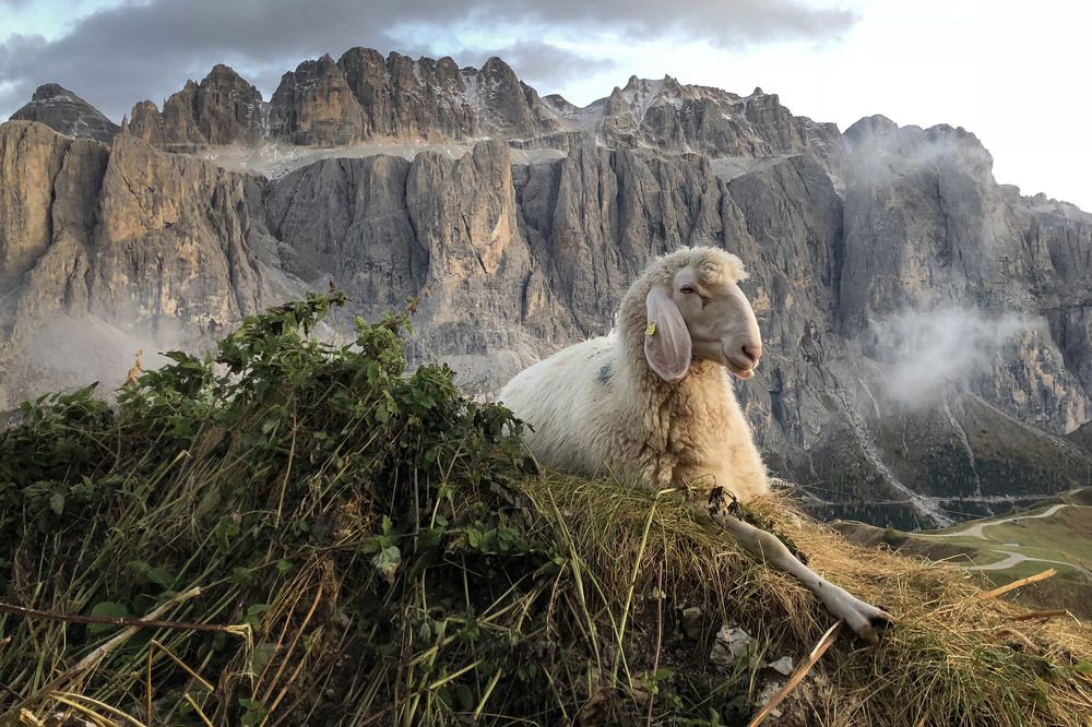 Photograph by Николай Наумов