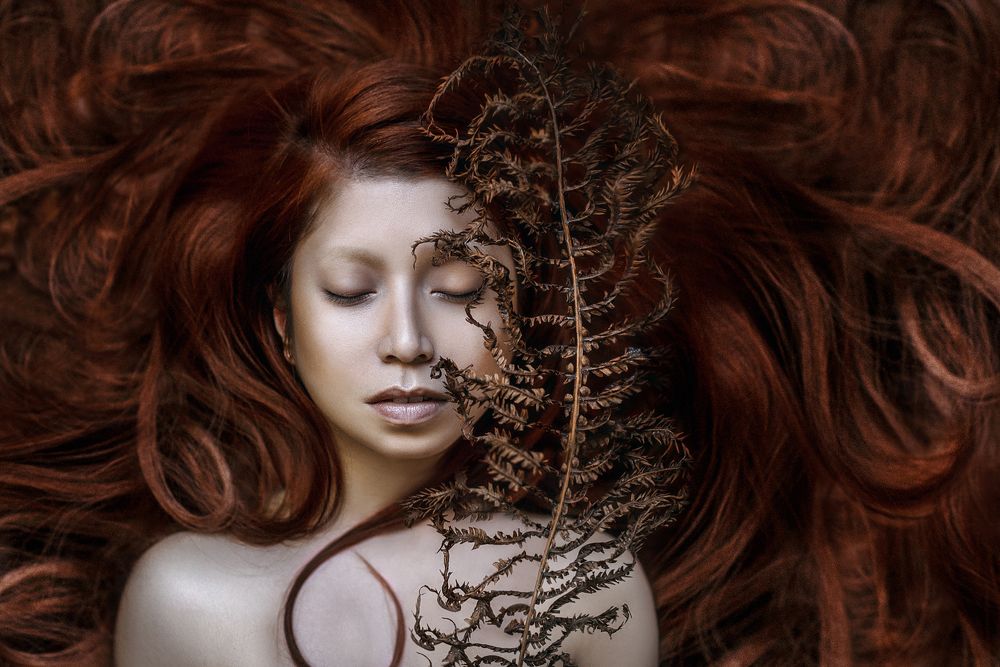 Фотография автора Комарова Настя