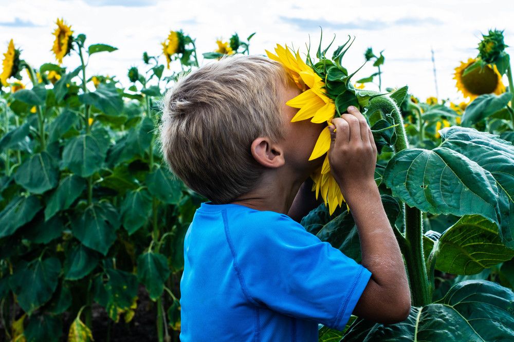 Объединение