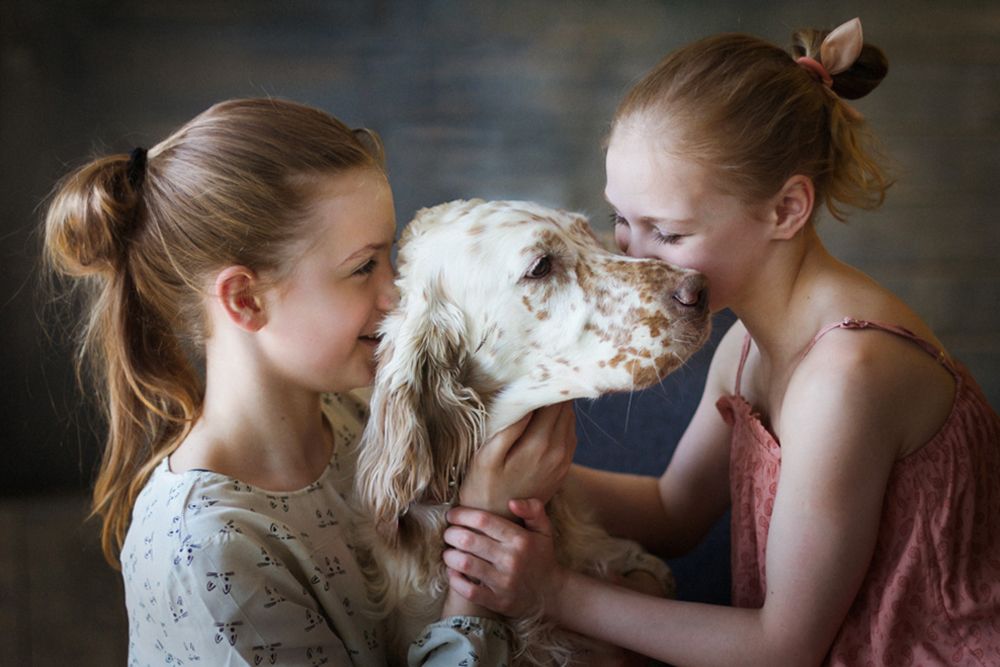 Лохматое счастье