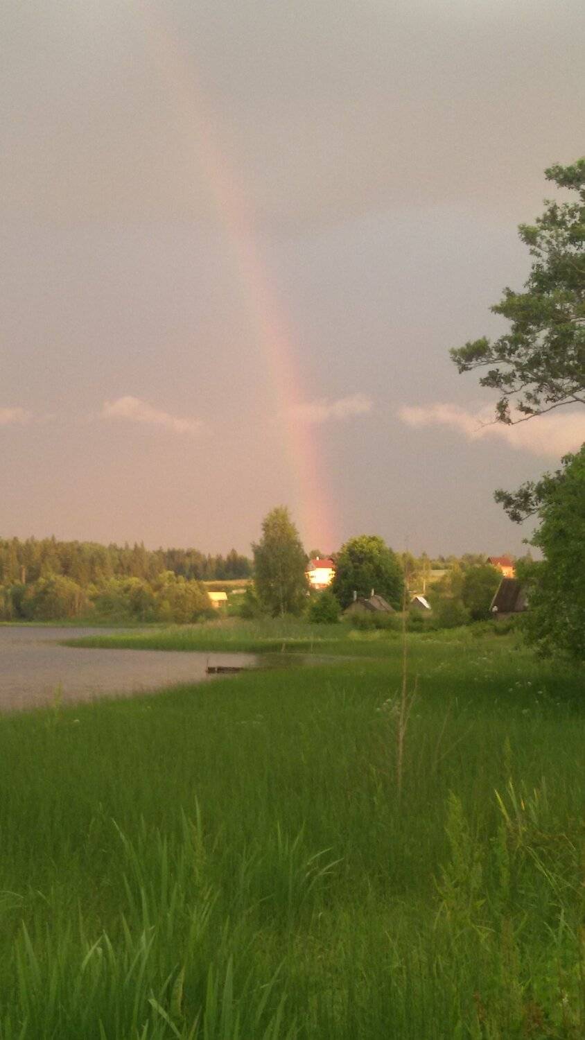 радуга