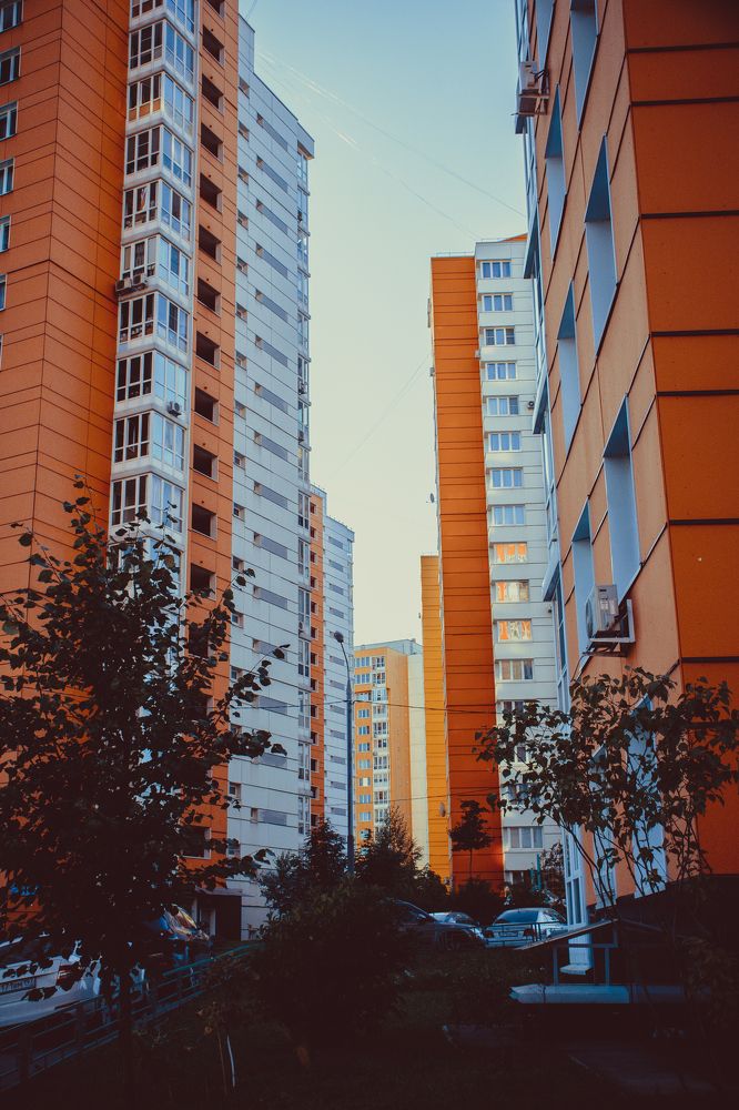 В рыжих джунглях