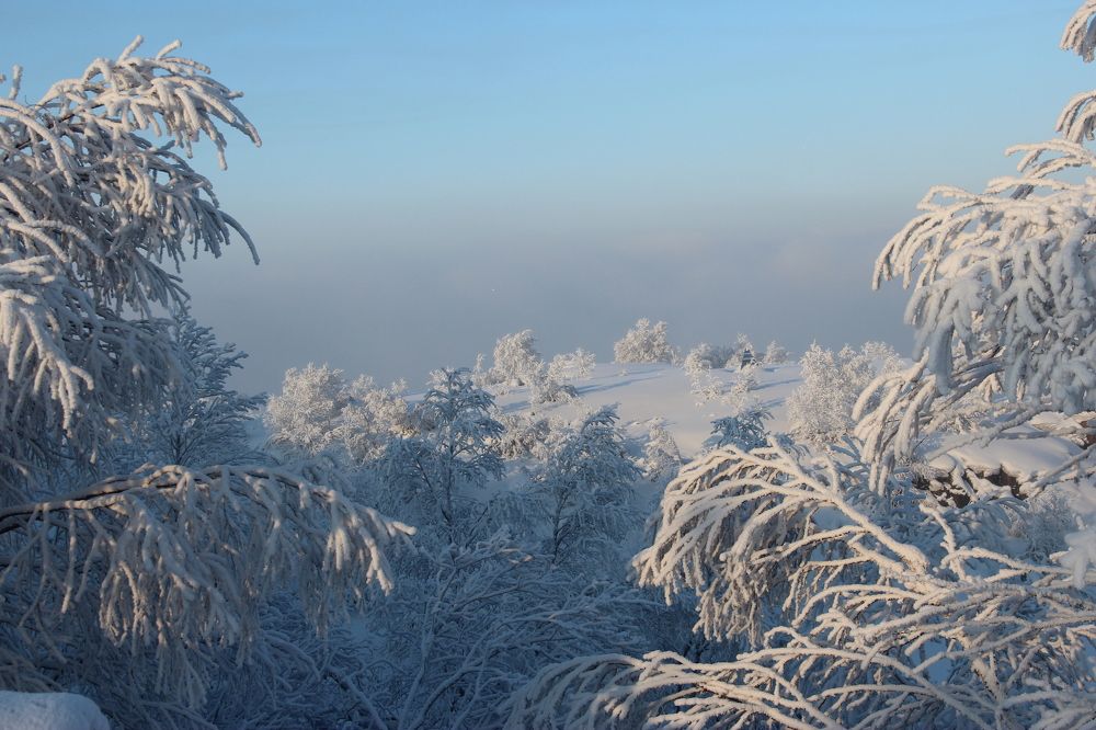 Мороз и Солнце