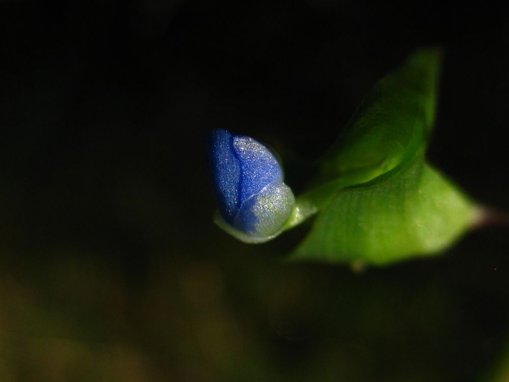 An emerald and a sapphire