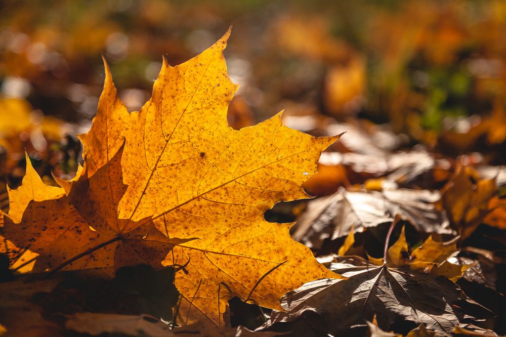 Photograph by Полина