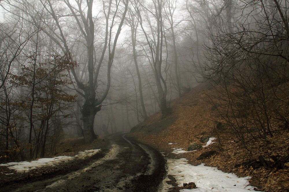 На склонах Демерджи