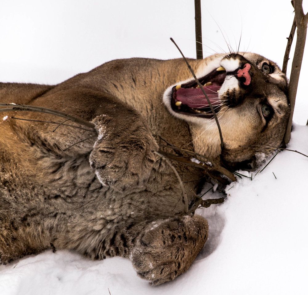 Photograph by Танюша