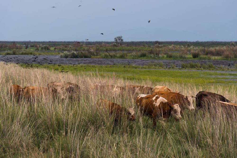 Баргузинская долина, Байкал