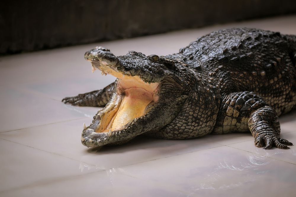 В ожидании...