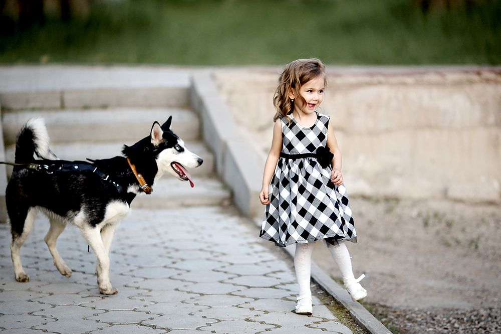 Фотография автора Решетченко Ольга