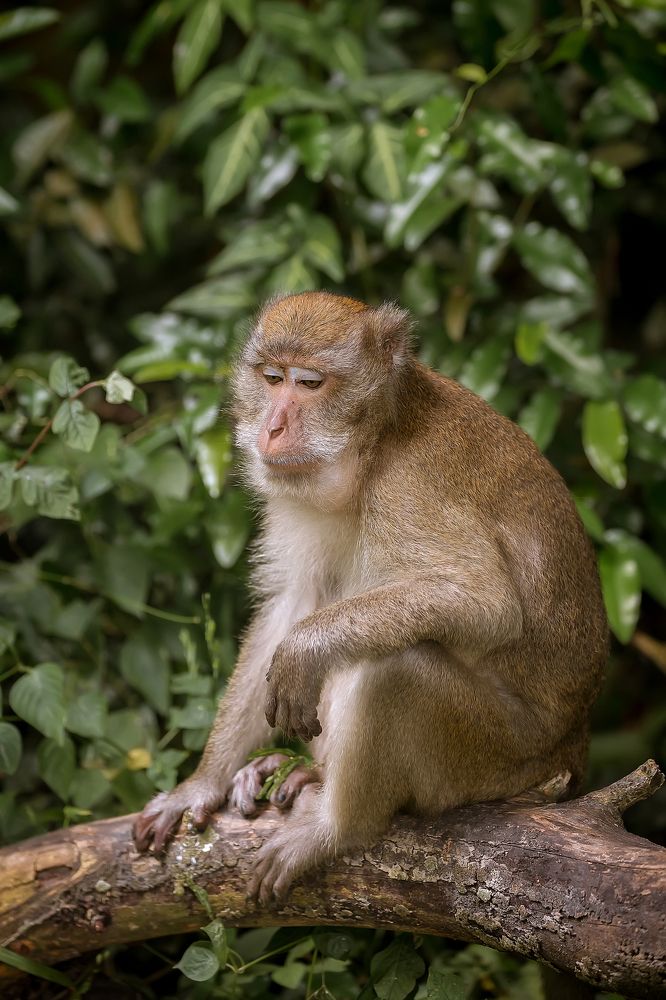 Кто понял жизнь, тот больше не спешит