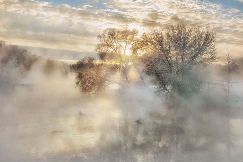 Photograph by Владислав Мотузенко